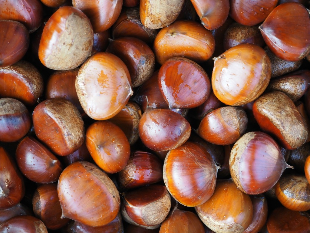 Chestnut