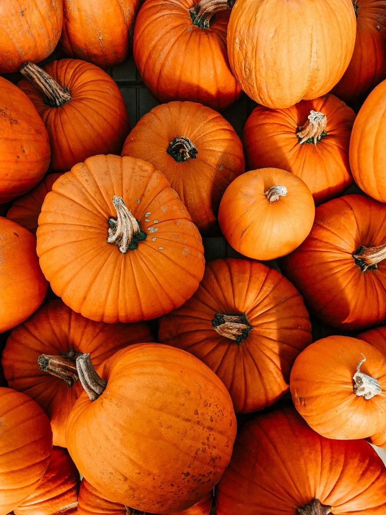 Pumpkin