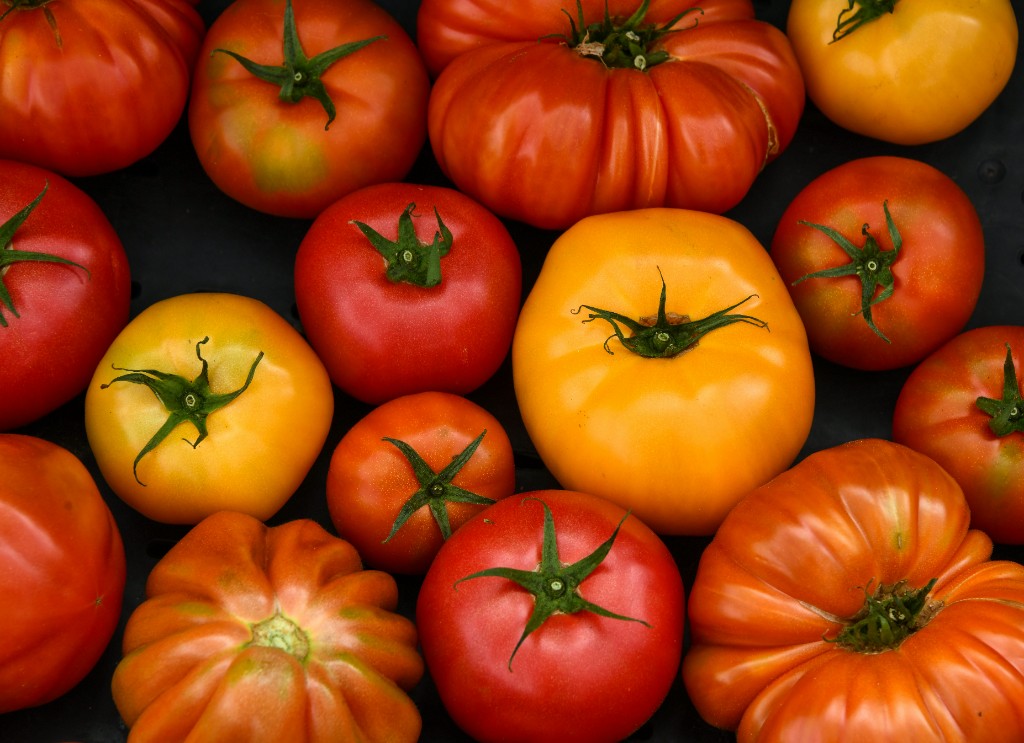 Tomato