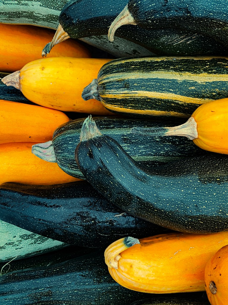 Zucchini